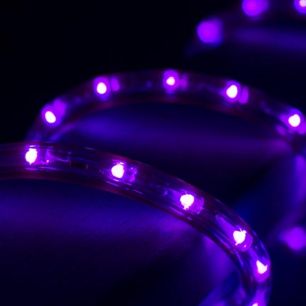 513PRO series Purple LED Rope Light In Scene